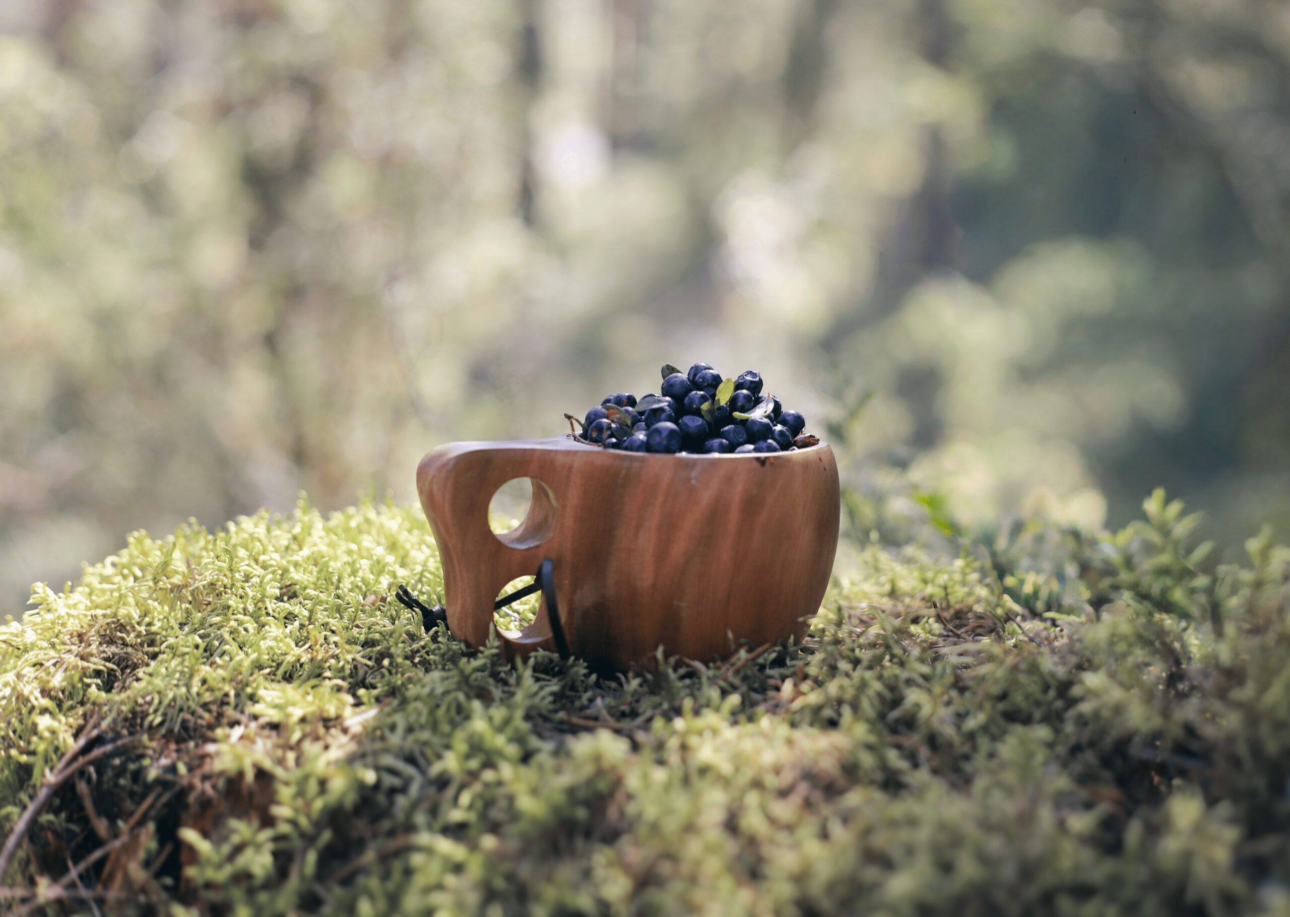 Puinen kuksa täynnä mustikoita sammaleisessa metsässä luonnonvalossa.